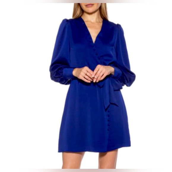 NWT ALEXIA ADMOR
Arya Button-Front Wrap Blue Dress, Size 8 - Picture 4 of 4